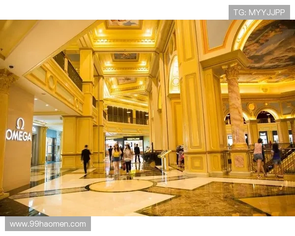 全面解析澳门娱乐大全网址大全，畅游博彩世界的最佳指南